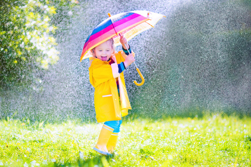 Funny cute curly toddler girl wearing yellow waterproof coat and boots holding colorful umbrella playing in the garden by rain and sun weather on a warm autumn or sumemr day