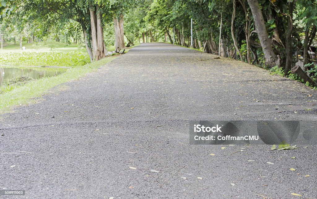 Lakeside road made with  asphalt Abstract Stock Photo