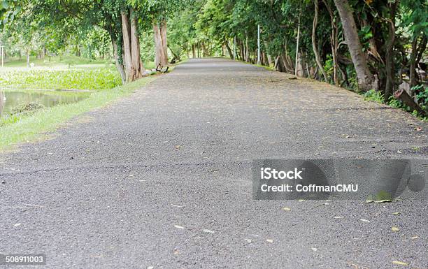 Lakeside Road Made With Asphalt Stock Photo - Download Image Now - Abstract, Asphalt, Blue