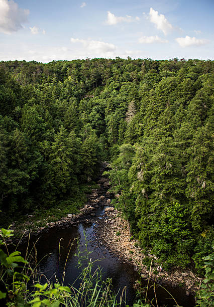 istock Aerial View Tennessee Forest 508911343