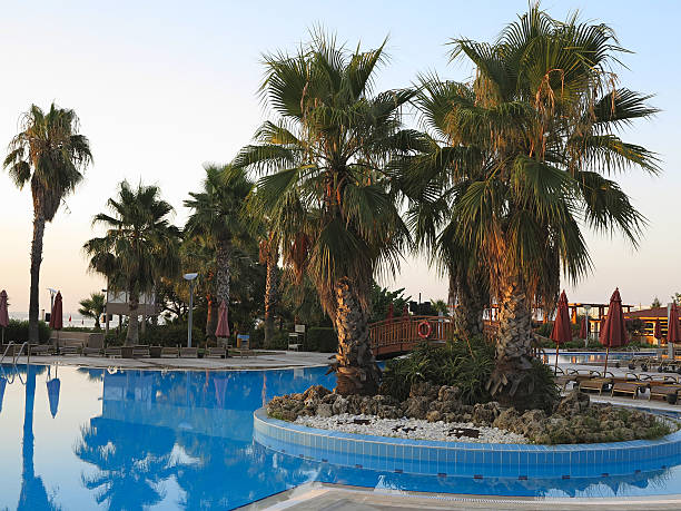 piscina de luxo e palmas das mãos no tropics - beach palm tree island deck chair imagens e fotografias de stock