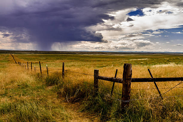 Large summer storm clouds forming in the distance on prairie grasslands
