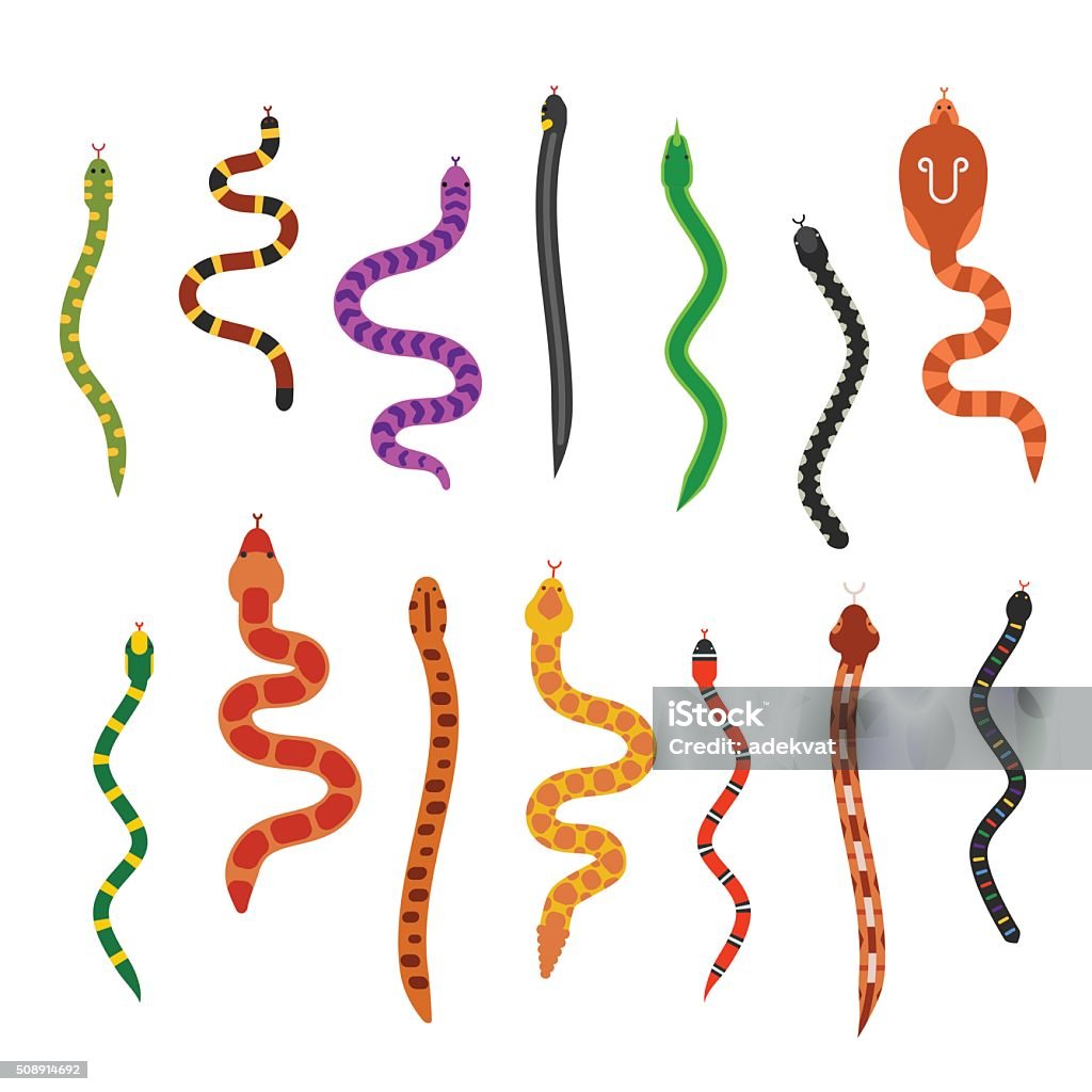Vector flat snakes collection isolated on white background Vector flat snakes collection isolated on white background. Vector snakes flat style. Different snakes skin symbols Snake stock vector