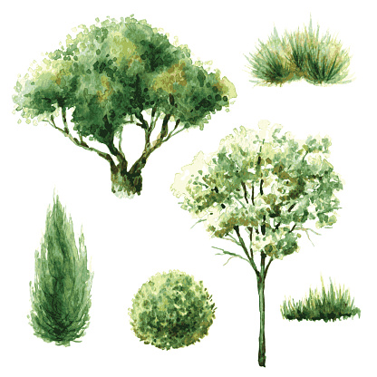 Set of green trees and bushes.