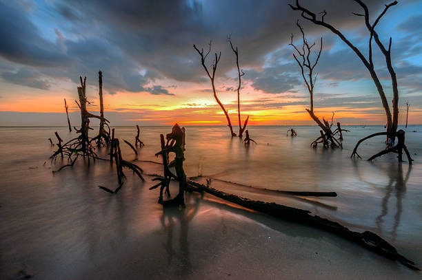 istock Kelanang beach, Malaysia. 508915758