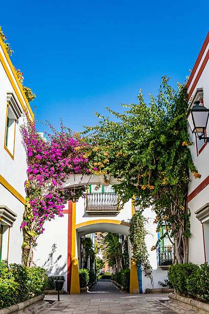 istock Puerto de Mogan, a beautiful, romantic town on Gran Canaria 508919088