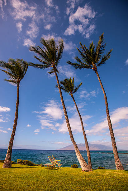 istock Wailea Beach, Hawaii, USA 508920794