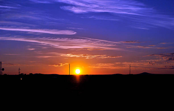 istock Alba in Arizona 508921570