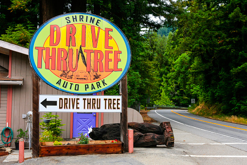 Myers Flat, Ca, USA - July 10, 2015: The Drive Thru Shrine Tree auto park overhead sign in Myers Flat California