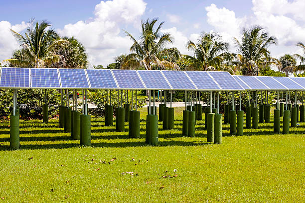istock Rows of Solar Panels in Florida 508921772