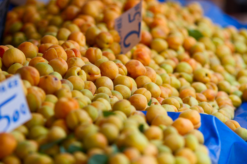 apricots on fruit bazaar