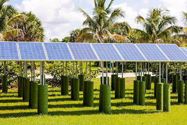 istock Rows of Solar Panels in Florida 508921888