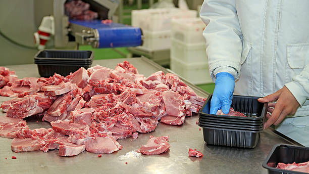 Packing of Meat Slices in Boxes Fresh raw pork chops in meat factory. Meat processing in food industry. Packaging of raw meat on the production line. meat packing industry photos stock pictures, royalty-free photos & images