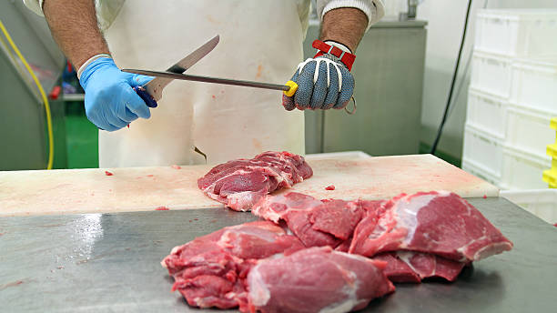 istock Butcher Sharpening Knife on Sharpening Steel 508923176