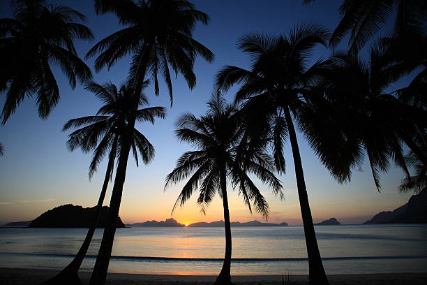 istock sunset of tropical island 508934259