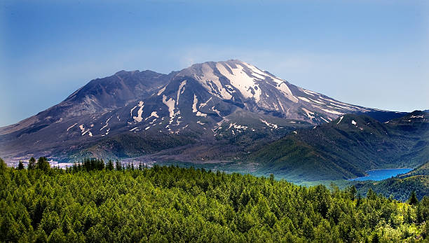 Forest Lake Mount Saint Helens National Park Washington Forest Blue Lake Snowy Mount Saint Helens Volcano National Park Washington mount st helens stock pictures, royalty-free photos & images