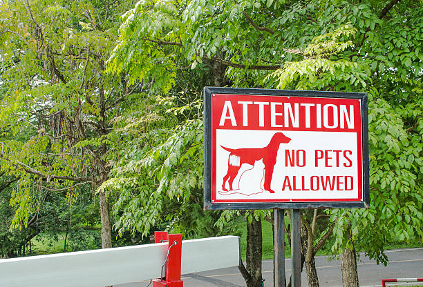 istock No pets allowed sign on gate in the park 508936109