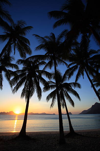 istock sunset of tropical island 508937375
