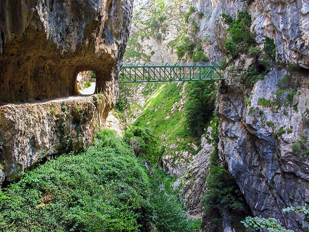 istock inside the canyon of River Cares 508937895
