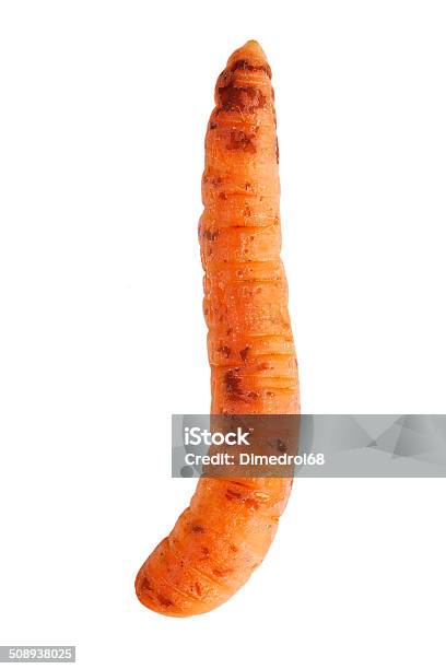 Fine Ripe Curve Carrots Stock Photo - Download Image Now - Bent, Carrot, Branch - Plant Part