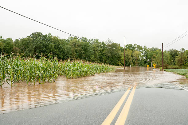 istock Hurricane Waters Flooding the Land 508938174