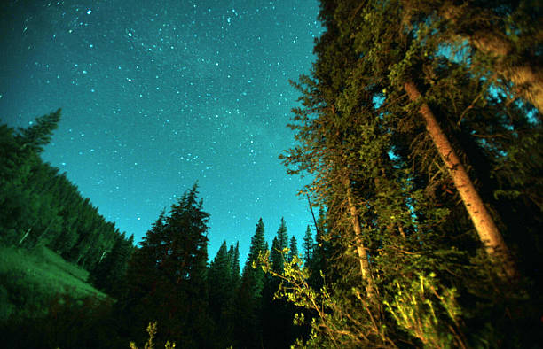 istock Rocky Mountain stars 508938600