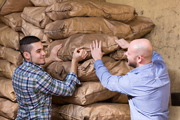 istock Workers carrying bags of cement 508938740