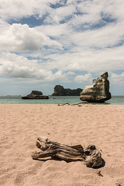sandy beach at Mares Leg Cove on Coromandel Peninsula, New Zealand