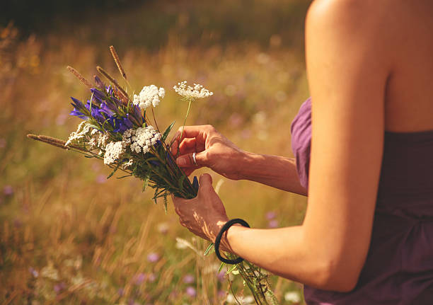 retiro de flores - cut flowers women field single flower fotografías e imágenes de stock