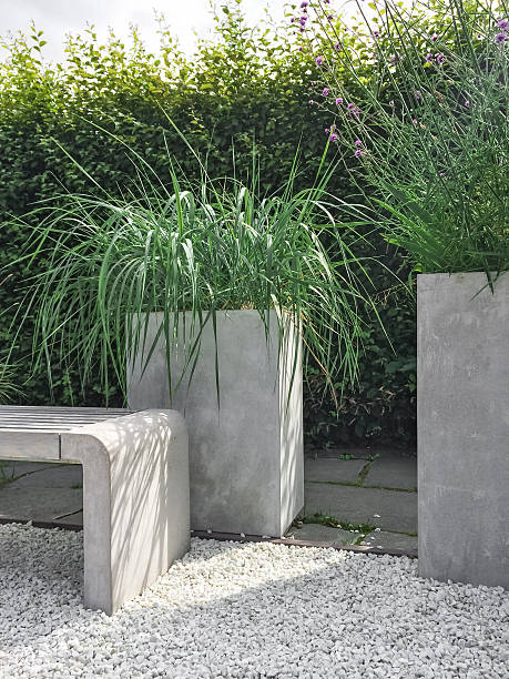 istock Garden with decorative grass, concrete and stone 508939076