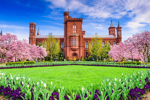 Washington DC, USA - April 12, 2015: Visitors enjoy the gardens of The Smithsonian Institution Building during the spring season. Also known as the Castle, the building holds the Smithsonian administrative offices.