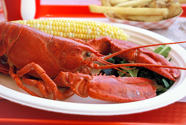 istock Plate of Lobster 508940298