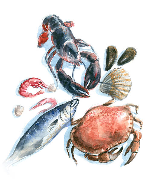 ilustrações, clipart, desenhos animados e ícones de aquarela de frutos do mar - caranguejo marisco