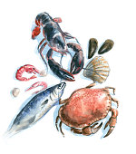 istock seafood watercolor 508940440