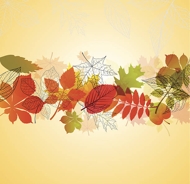 ilustrações, clipart, desenhos animados e ícones de outono - distressed organic autumn backgrounds