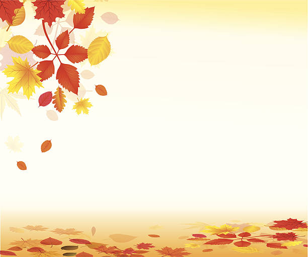 ilustrações, clipart, desenhos animados e ícones de outono - distressed organic autumn backgrounds