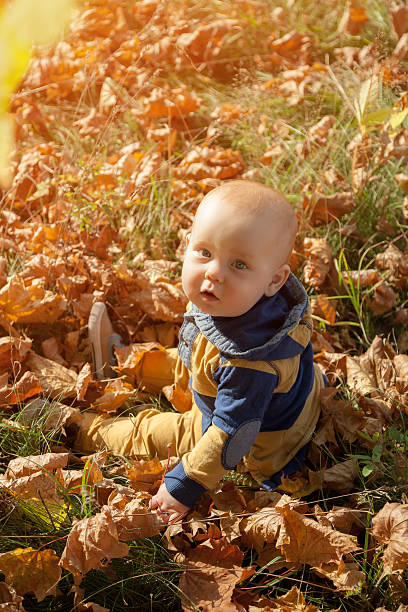 istock Little baby playing with autumn leaves 508941334