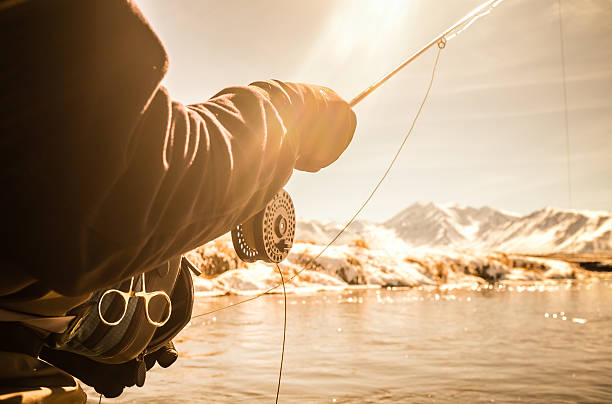 Close Up POV of a Fly Fishing Reel And Rod A Close Up, POV of a Fly Fishing Reel And Rod in a vintage tone. owens river stock pictures, royalty-free photos & images