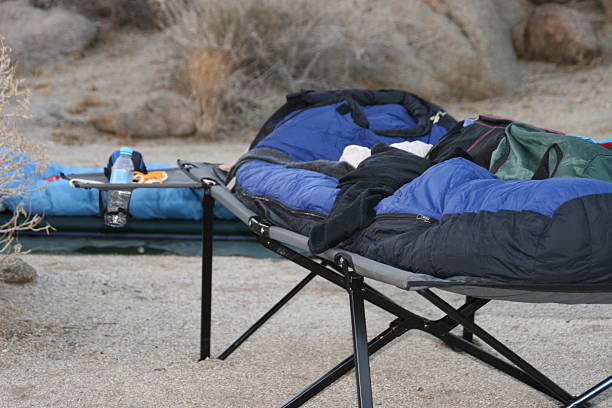 Sleeping under the stars sleeping under the stars in Anza Borrego State Park anza borrego desert state park photos stock pictures, royalty-free photos & images
