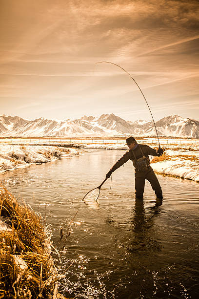 Silhouette Fisherman On The Owens River in Winter A vintage toned Silhouette of a Fisherman On The Owens River during winter high sticking the bank.  The snow covered Sierra Nevada Mountain range is in the background. owens river stock pictures, royalty-free photos & images