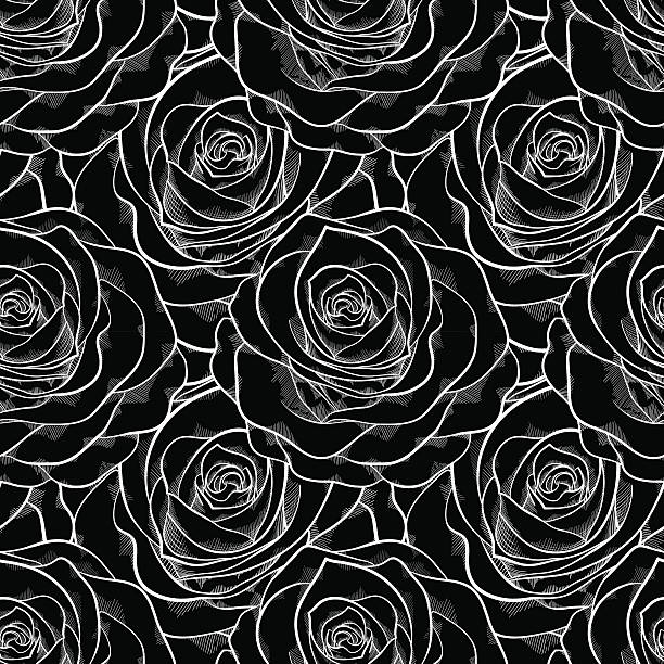 ilustraciones, imágenes clip art, dibujos animados e iconos de stock de hermoso patrón continuo blanco y negro en rosas. - femininity pattern female backgrounds