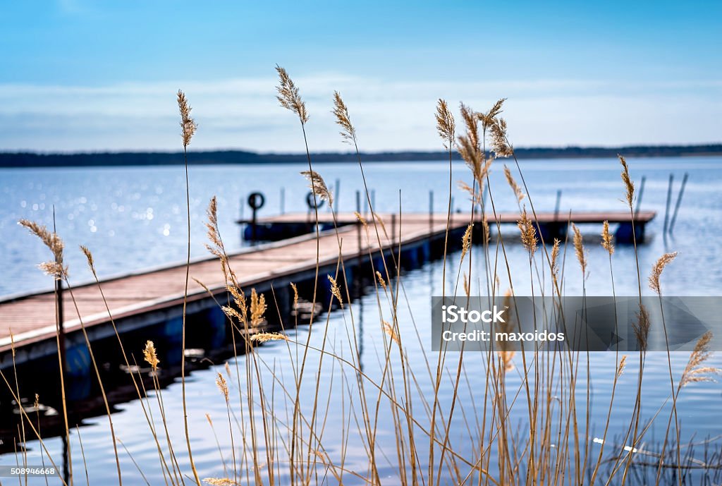 Dock for pleasure and fishing boats Pier for pleasure and fishing boats on shore of Lake Ladoga in Karelia. Soft focus. In the foreground the tall grass Beauty In Nature Stock Photo