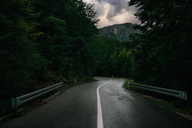 chuva escura estrada através da floresta de durmitor parque nacional - road street sign slippery - fotografias e filmes do acervo
