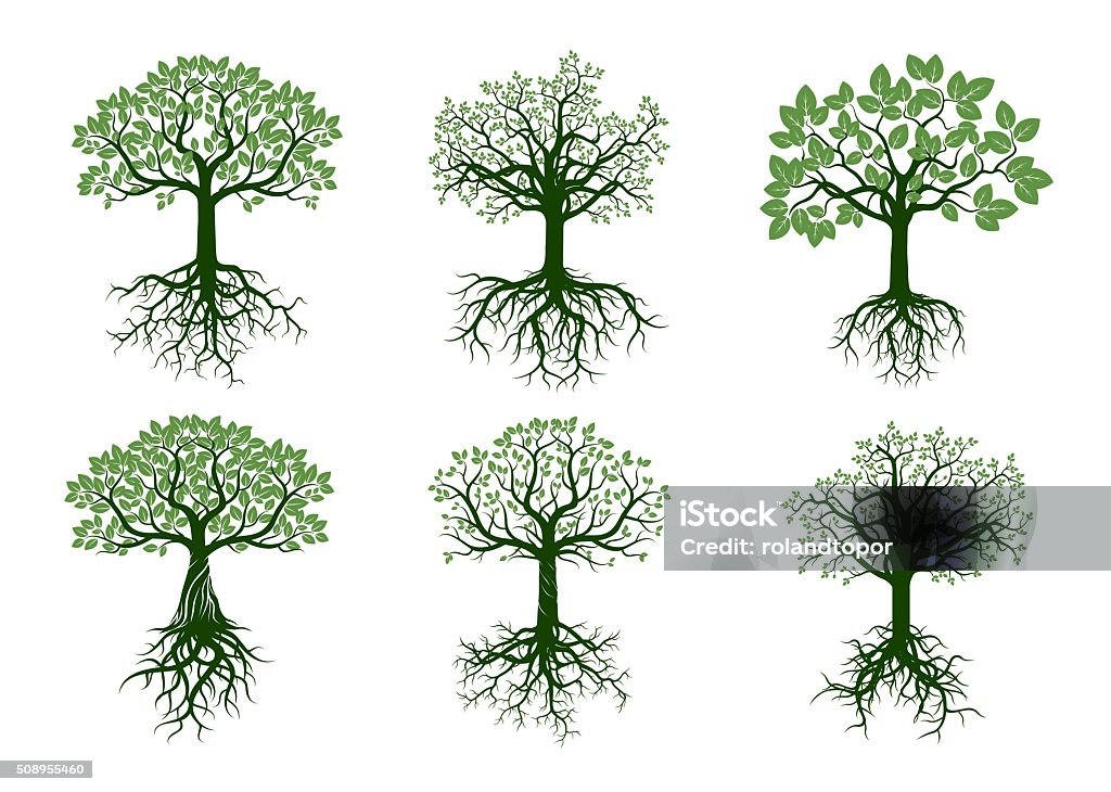 Set of Green Trees and Roots. Vector Illustration. Tree stock vector