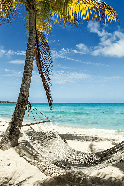 istock Beach in Dominican Republic 508957414
