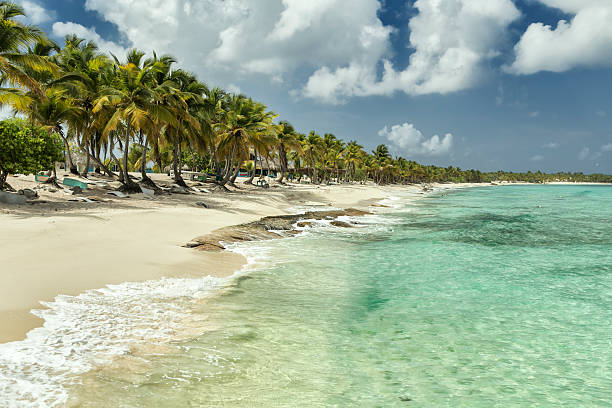 istock Beach in Dominican Republic 508957434