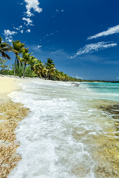 istock Beach in Dominican Republic 508958254