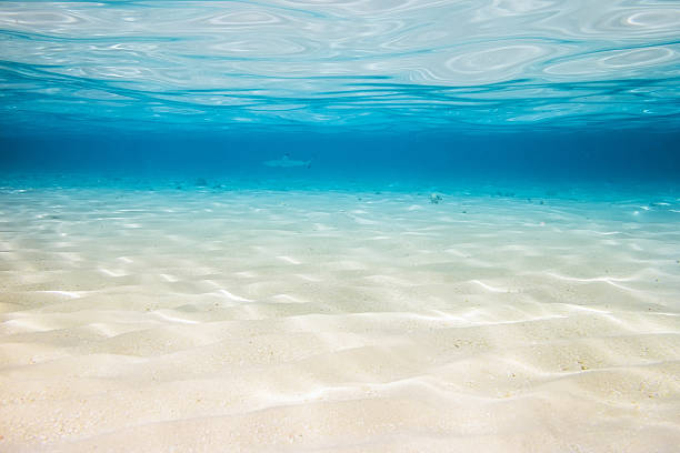 Underwater lagoon backround underwater background with sandy sea bottom shallow stock pictures, royalty-free photos & images