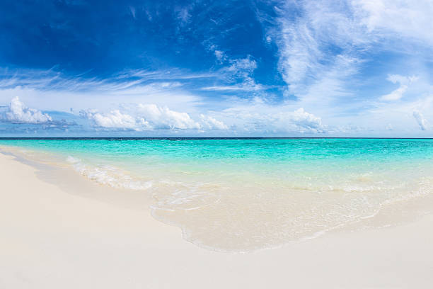 istock paradise beach with turquoise blue water 508960512