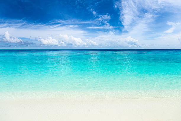 istock paradise beach with turquoise blue water 508960548